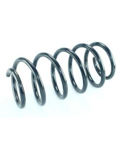 Fahrwerksfeder vorne BMW X5 (E53)