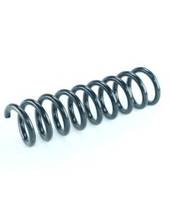 Fahrwerksfeder vorne MERCEDES-BENZ E-CLASS (W210) | E-KLASSE, E-CLASS T-Model (S210) | E-KLASSE