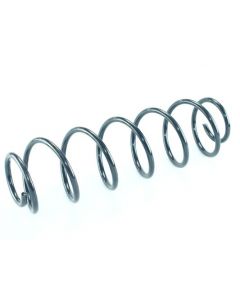 Fahrwerksfeder hinten RENAULT LAGUNA II (BG0/1_)