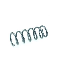 Fahrwerksfeder hinten HONDA S2000 (AP)