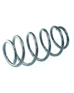 Fahrwerksfeder vorne NISSAN QASHQAI / QASHQAI +2 I (J10, NJ10, JJ10E)