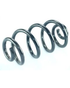 Fahrwerksfeder hinten NISSAN QASHQAI / QASHQAI +2 I (J10, NJ10, JJ10E)