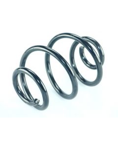 Fahrwerksfeder hinten RENAULT TWINGO II (CN0_)