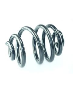 Fahrwerksfeder hinten RENAULT KANGOO (KC0/1_), KANGOO Express (FC0/1_)