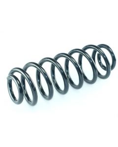 Fahrwerksfeder hinten VW PASSAT B6 (3C2), PASSAT B6 Variant (3C5), TIGUAN (5N_)