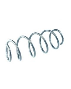 Fahrwerksfeder vorne VW FOX Schrägheck (5Z1, 5Z3, 5Z4), POLO (9N_, 9A_)