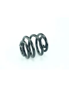 Fahrwerksfeder hinten VW GOLF IV (1J1)