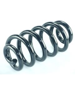 Fahrwerksfeder hinten AUDI A6 C6 (4F2), A6 C6 Avant (4F5)