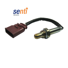 Sensorik